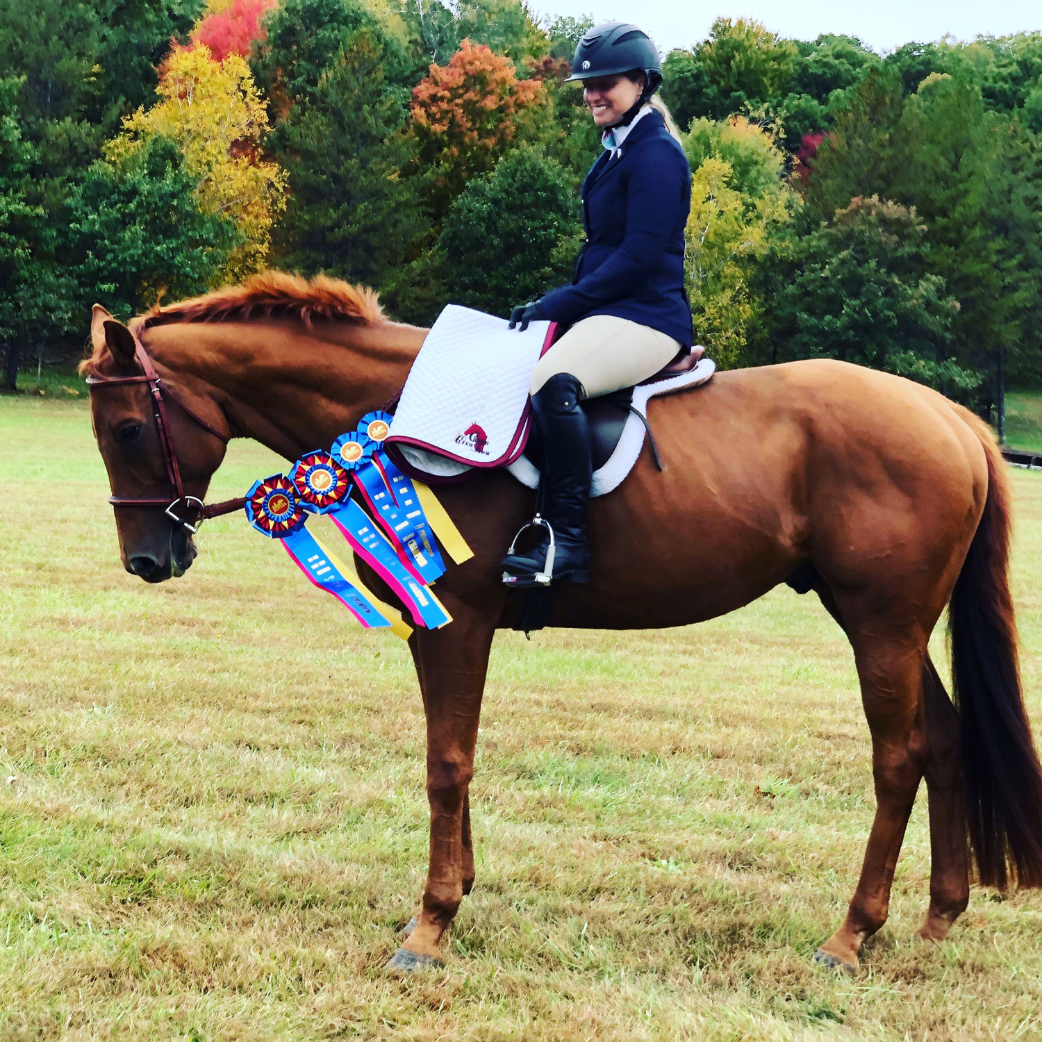 Seventh Farm apprentice saddled on a horse with four champion ribbons