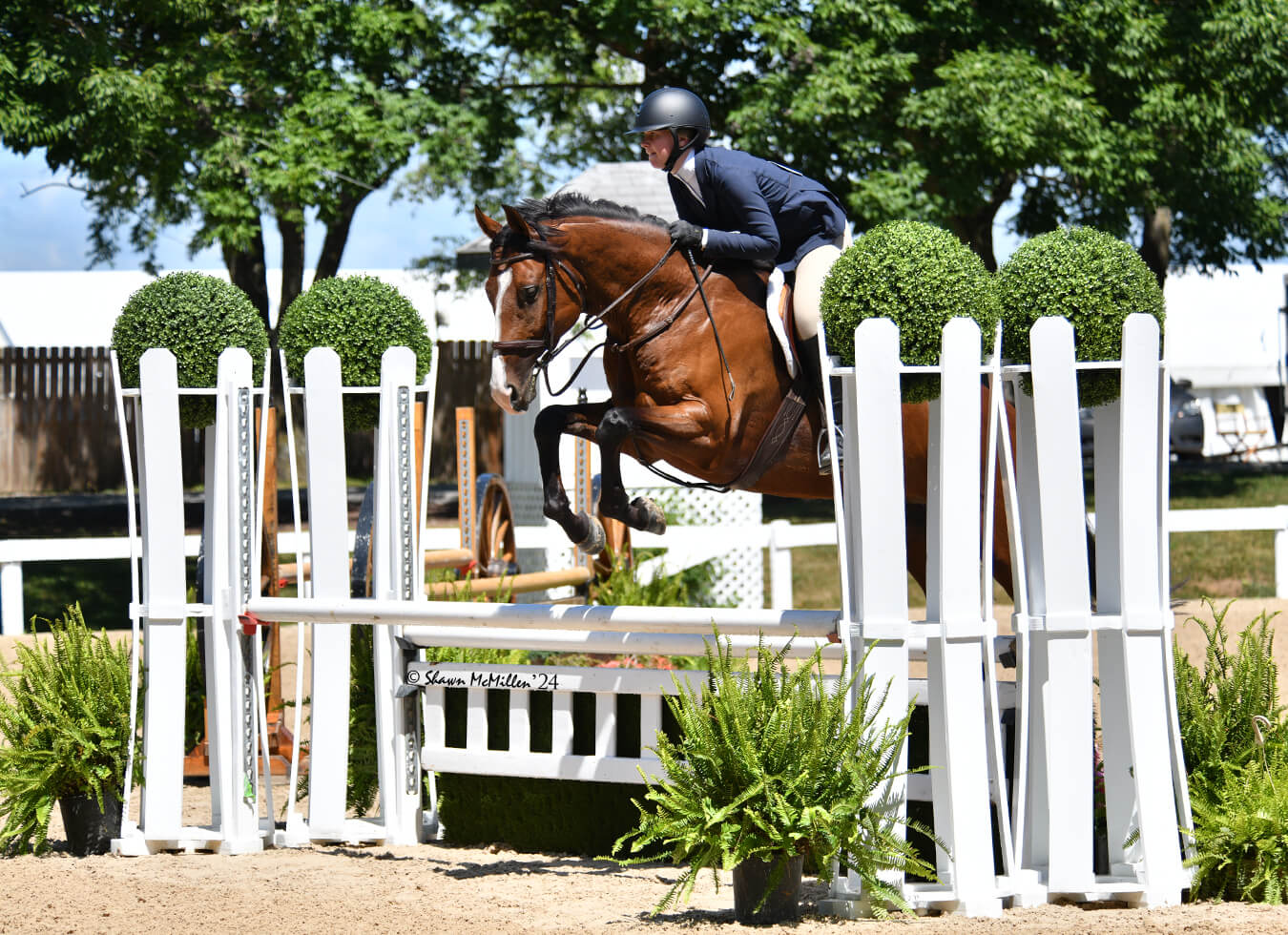 Isabella jumping her horse at the 2024 Robert Murphy Stable Horse Show