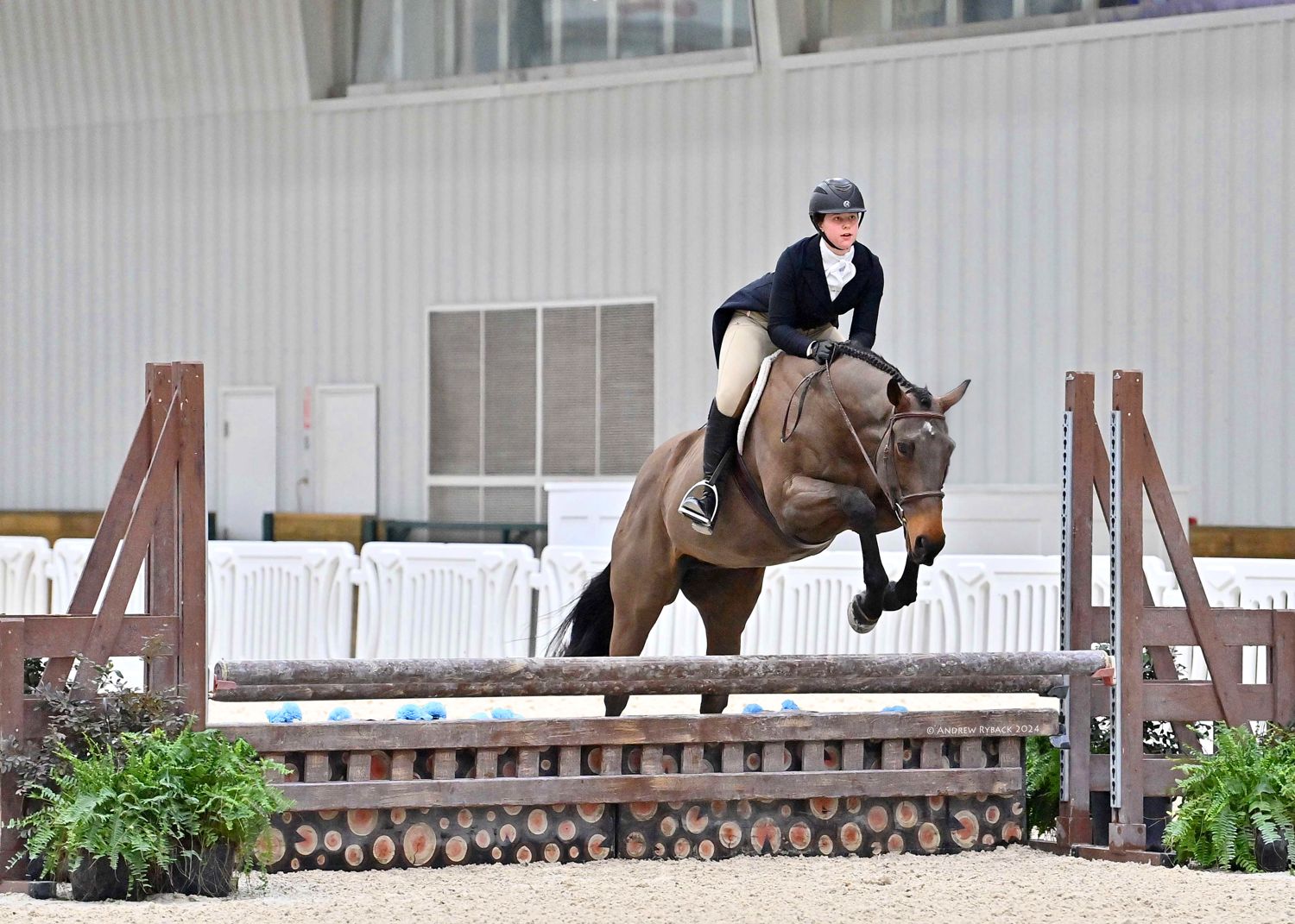 Isabella jumping Smitty at the World Equestrian Center in Florida