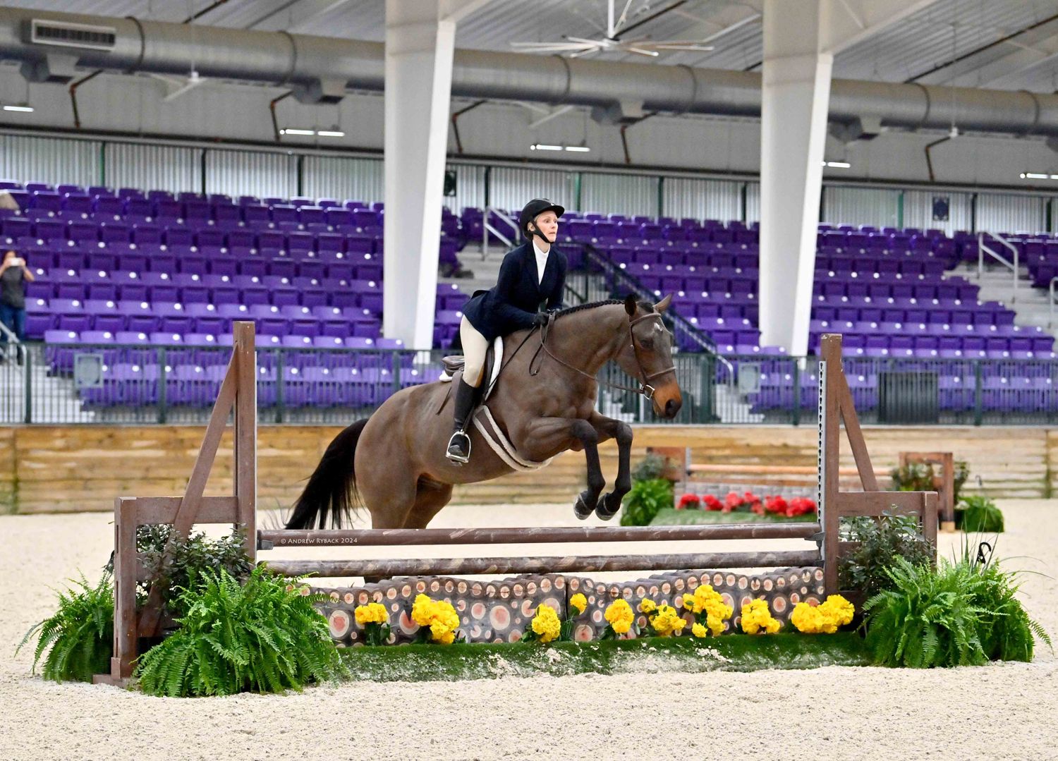 Kirsten jumping Smitty at the World Equestrian Center in Florida